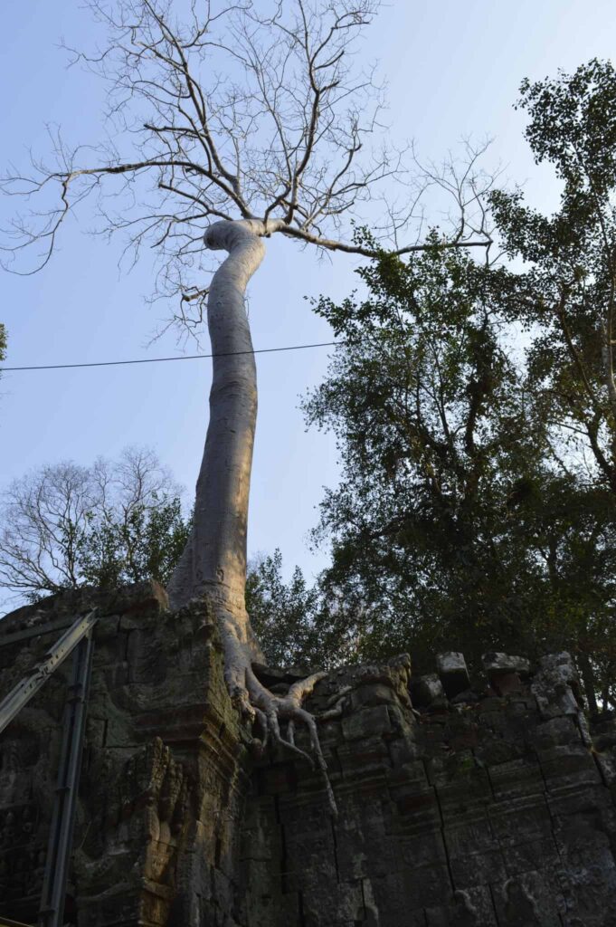 Ta phrom